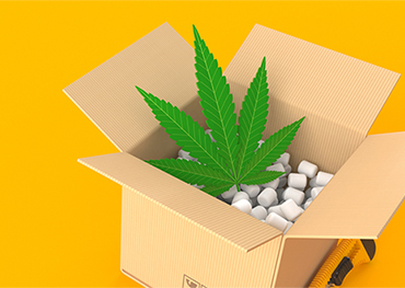 Cannabisverpakkingsindustrie zal naar verwachting tegen 2025 een marktwaarde van ongeveer USD 20,41 miljard bereiken
