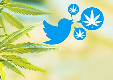 Twitter staat cannabisreclame toe