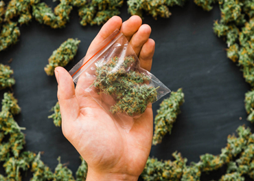 Globaal Cannabis Verpakking Marktrapport 2021