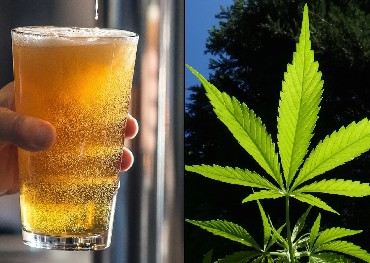 De Canadese bierconsumptie wordt geleidelijk vervangen door cannabis, en de Amerikaanse sigarettenmarkt is ingehaald door cannabis