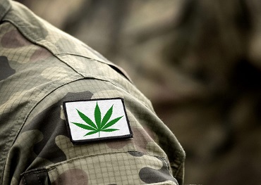 Huiscommissie overweegt onderzoekswet over medische marihuana-voordelen voor veteranen