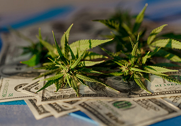Meer staten wijzen belastinginkomsten uit cannabis toe aan sociale gelijkheid
    