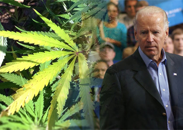 na de verkiezing Joe Biden promoot waarschijnlijk cannabislegalisatie federaal