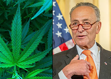 federale cannabislegalisatie nadert !u.s.senaat-democraten rollen wetsontwerp uit om wiet te legaliseren