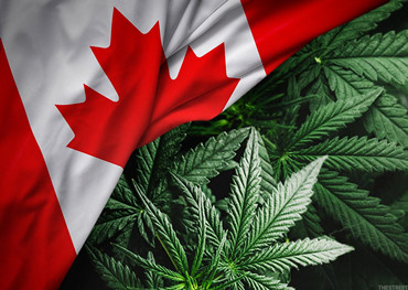 Canadese cannabismarkt