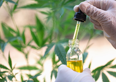 georgia neemt aanvragen om ‘low-THC’ te producerenmarihuana-olie