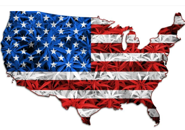 Hoe Biden's herschikking van marihuana de Amerikaanse industrie zou kunnen beïnvloeden?
