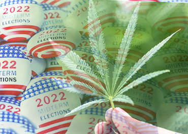 Amerikaanse midterms invloed op legalisatie marihuana VS op de stemming in vijf staten