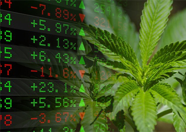 Cannabis Packaging American Cannabis Voorraden Extended BIG 2020 Winsten door Soaring 23% in januari 2021 