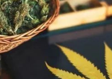 Een nieuw drankje verkopen ter waarde van $310.000 per week! Dit merk veroverde de Amerikaanse markt via TikTok met behulp van marihuana-ingrediënten.