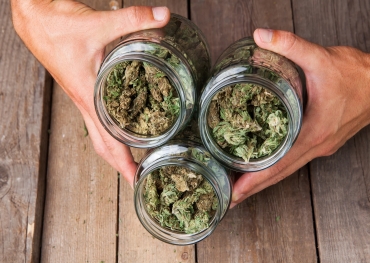 Kansen voor cannabisretailers om de ROI te vergroten door te investeren in verpakkingen